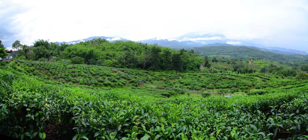 Sabah Tea Resort Ranau Dış mekan fotoğraf