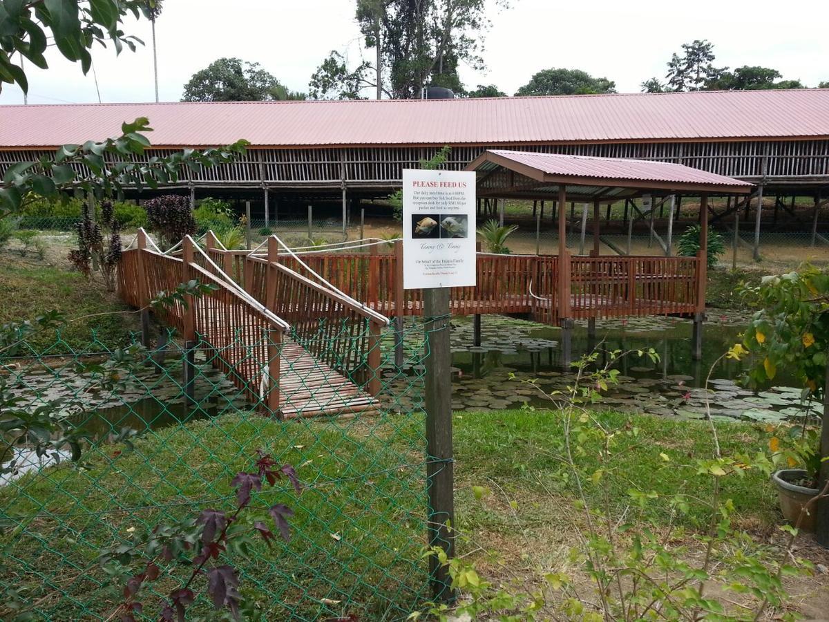 Sabah Tea Resort Ranau Dış mekan fotoğraf