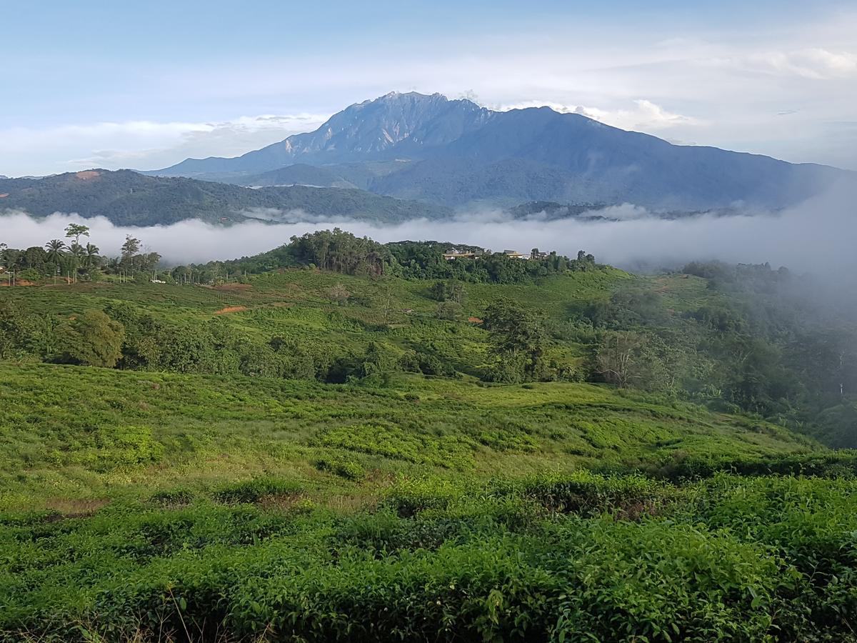 Sabah Tea Resort Ranau Dış mekan fotoğraf