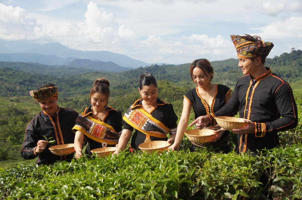 Sabah Tea Resort Ranau Dış mekan fotoğraf