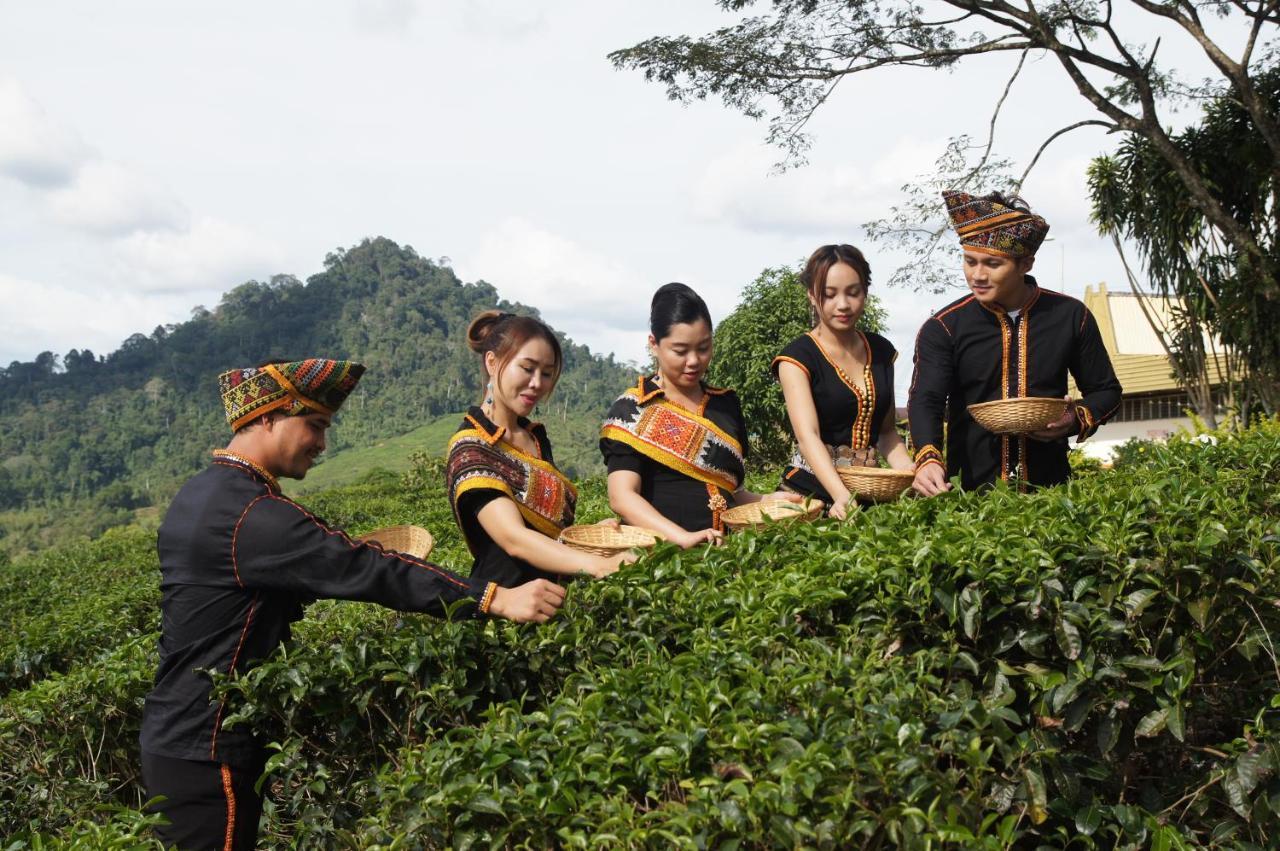 Sabah Tea Resort Ranau Dış mekan fotoğraf