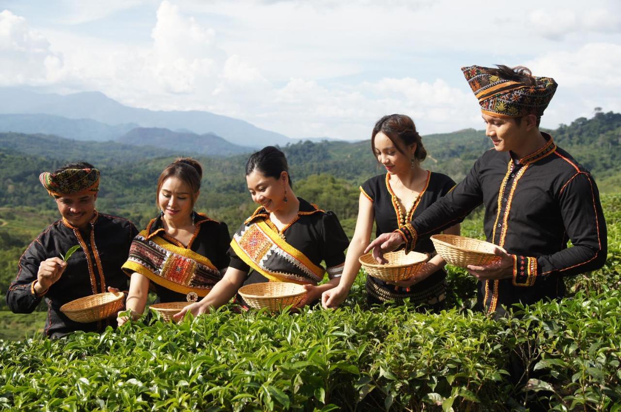 Sabah Tea Resort Ranau Dış mekan fotoğraf