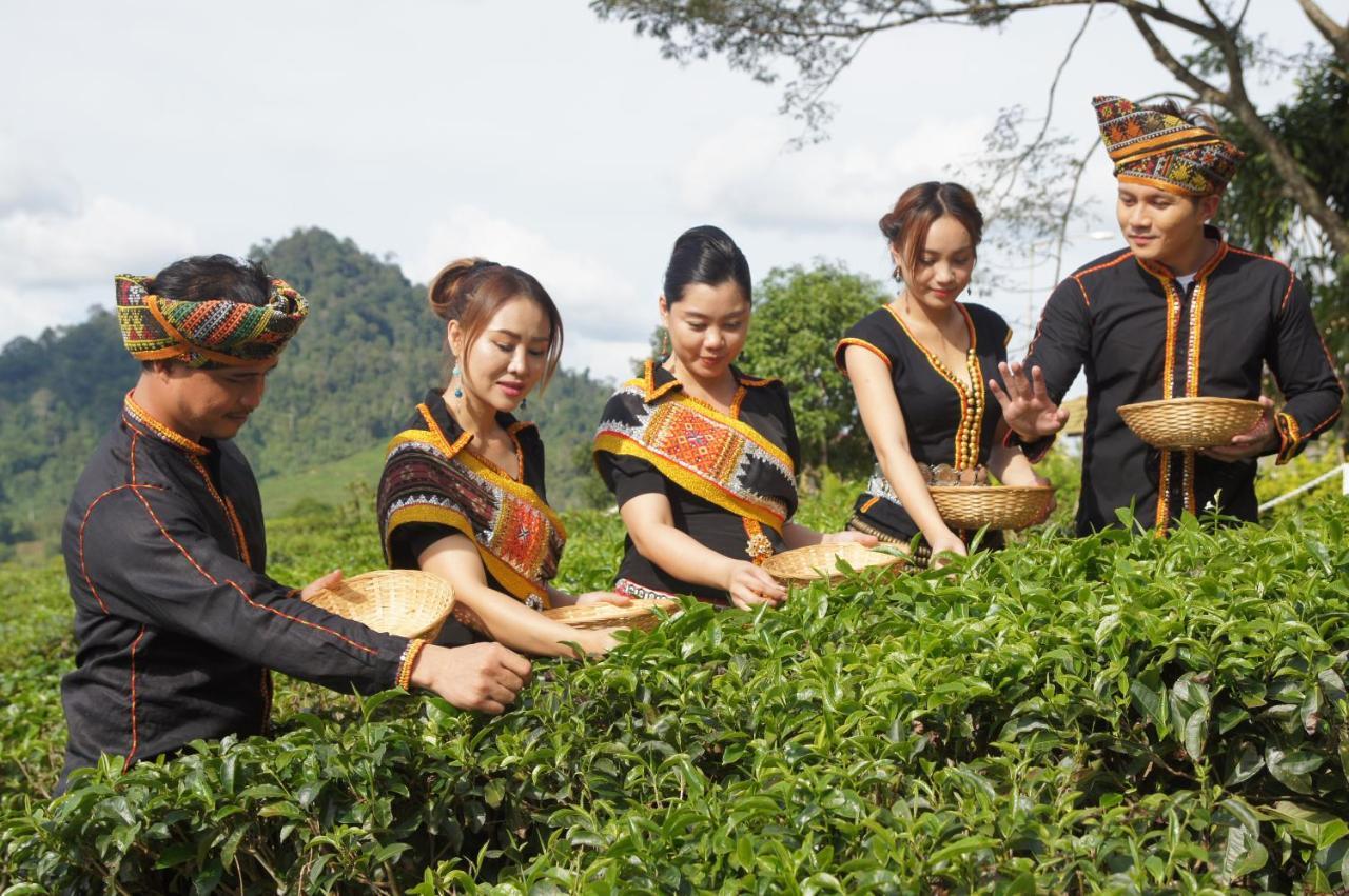 Sabah Tea Resort Ranau Dış mekan fotoğraf