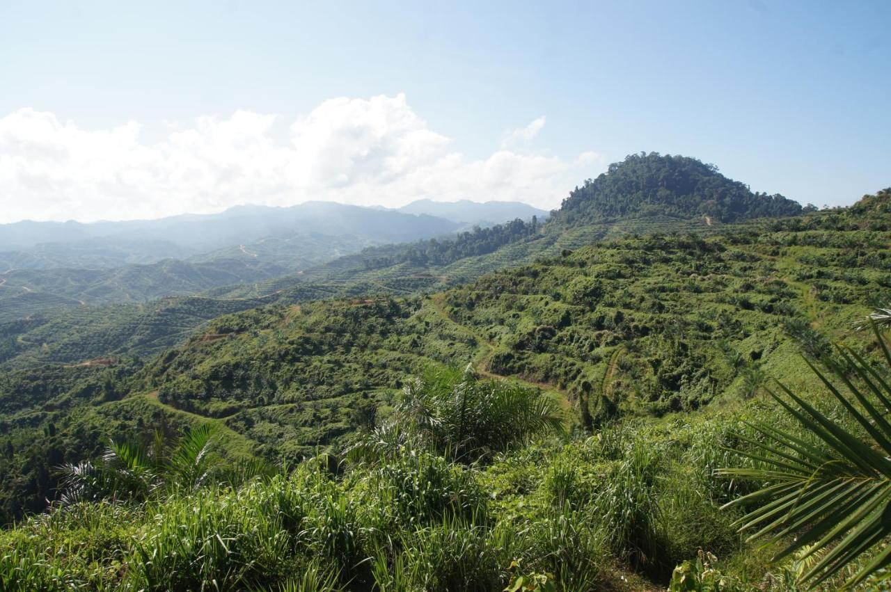 Sabah Tea Resort Ranau Dış mekan fotoğraf